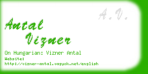 antal vizner business card